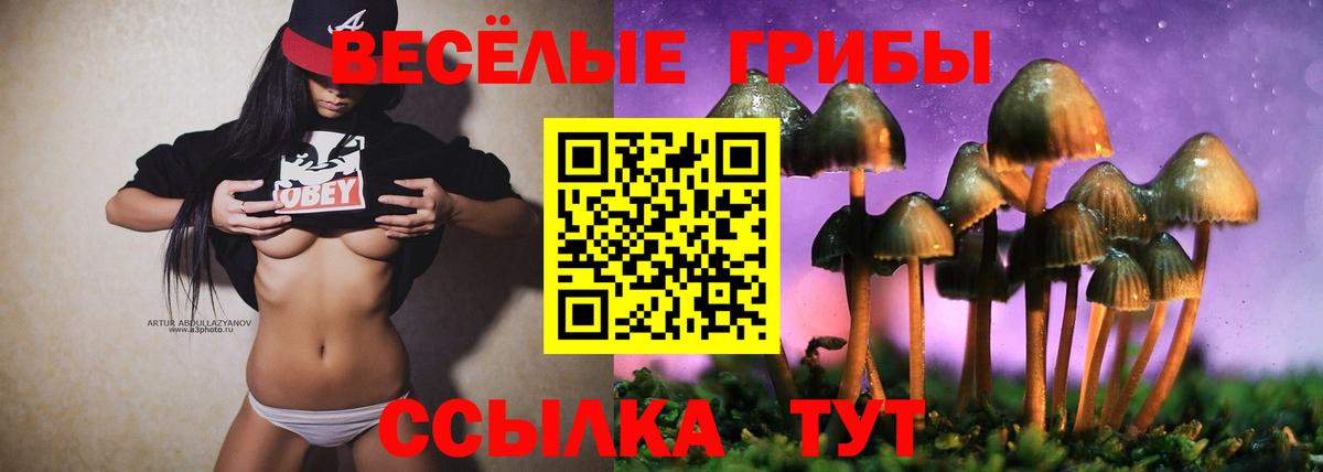 Михайловка  Галлюциногенные грибы мухоморы  Псилоцибиновые грибы прущие грибы  Вход с VPN 